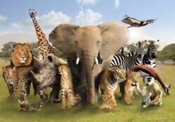 Animaux